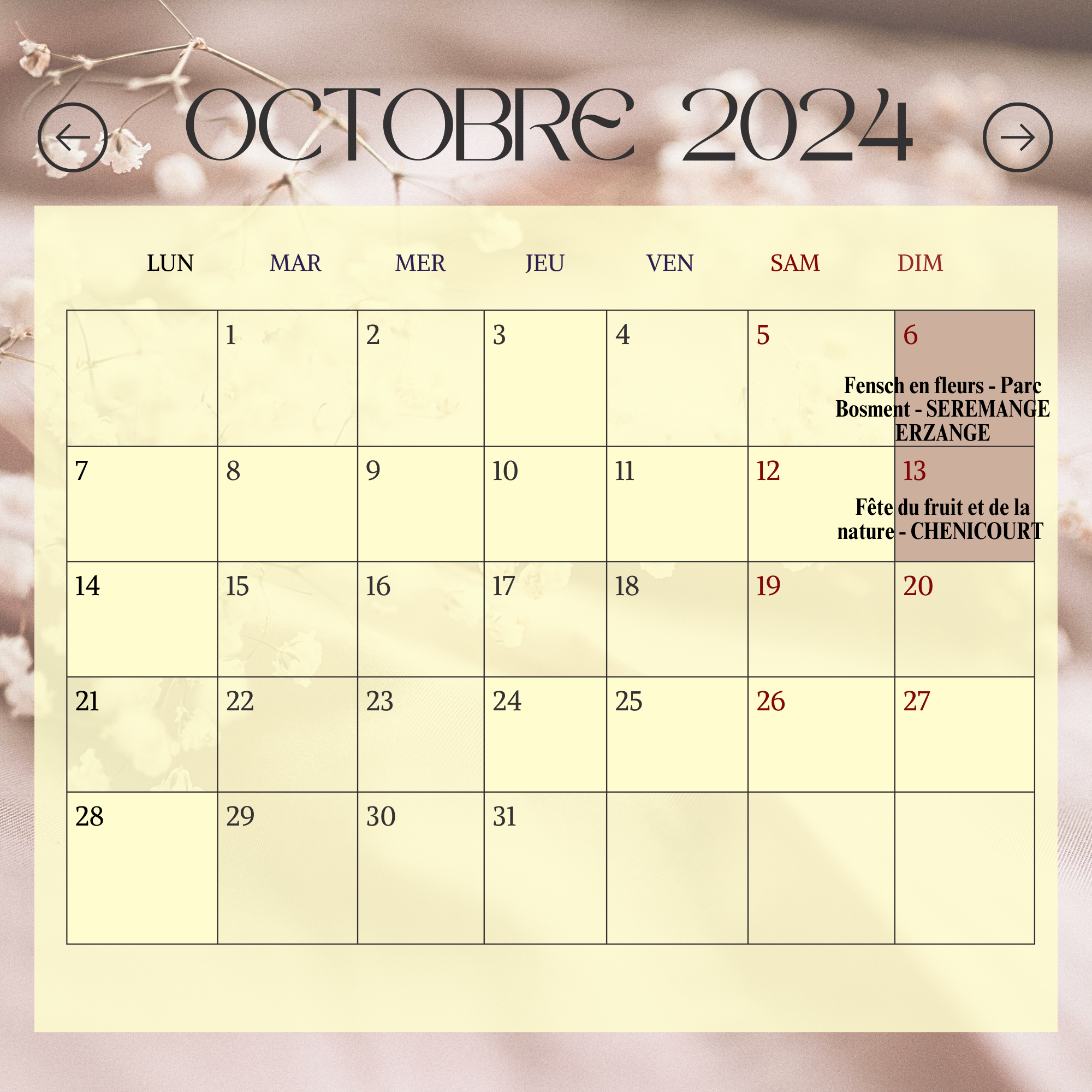 AGENDA OCTOBRE 2024